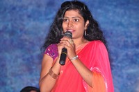 Maa Palle Repallantaa Movie Audio Launch